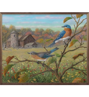 Bluebird Harmony By Terry Doughty